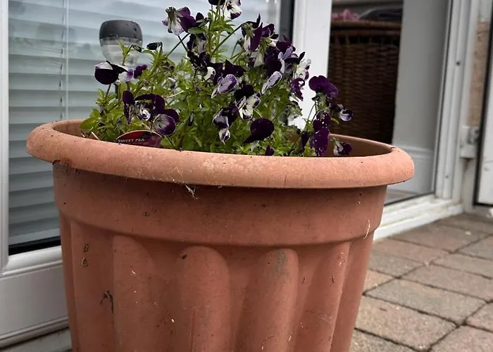 Studio Apartment Letterkenny